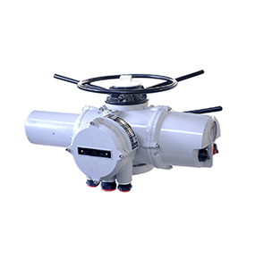HCQ Intelligent Electric Actuator